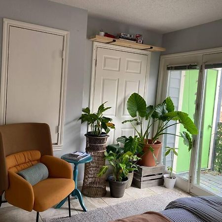 Luxury Greenhouse Studio Apartment Austin Ngoại thất bức ảnh
