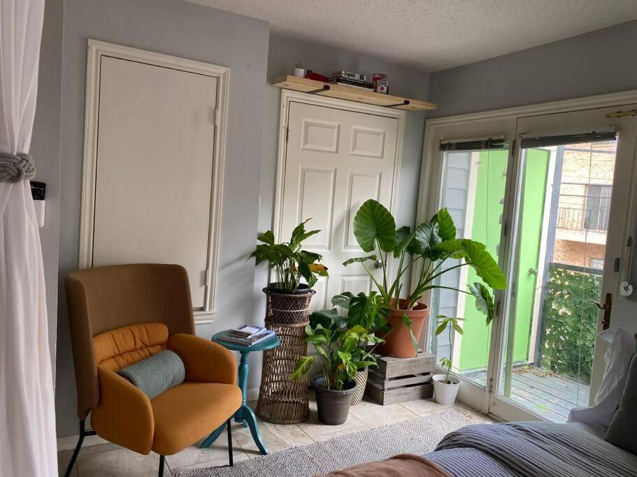 Luxury Greenhouse Studio Apartment Austin Ngoại thất bức ảnh